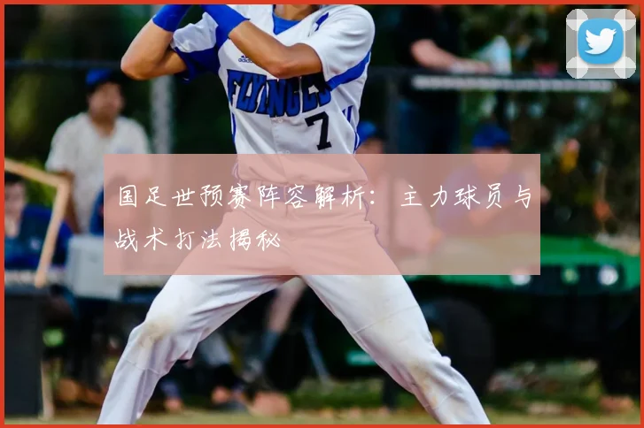 国足世预赛阵容解析:主力球员与战术打法揭秘